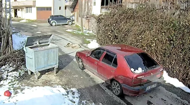 Otomobilin ezdiği köpeğin vücudunda yüzlerce saçma izine rastlandı