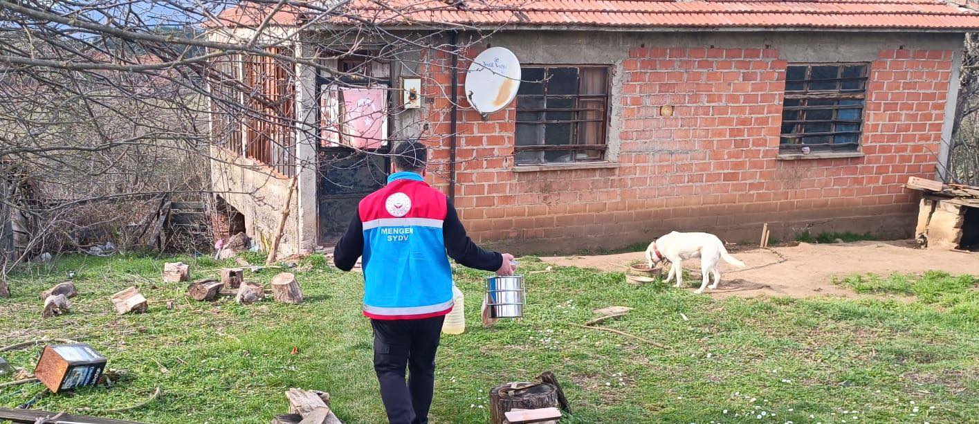 639623663 1248846430674934 6516063145297557562 n