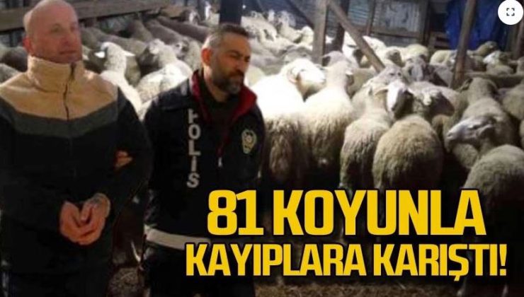 Mengen’de dolandırdığı çiftçiden aldığı 81 koyunla kayıplara karıştı