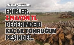 EKİPLER, 2 MİLYON TL DEĞERİNDEKİ KAÇAK TOMRUĞUN PEŞİNDE!..