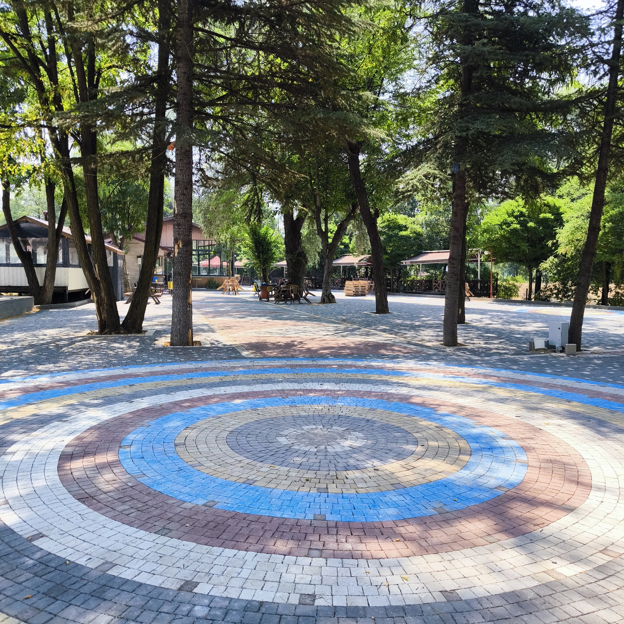 514396777 1199064905595105 5514258538806758918 n