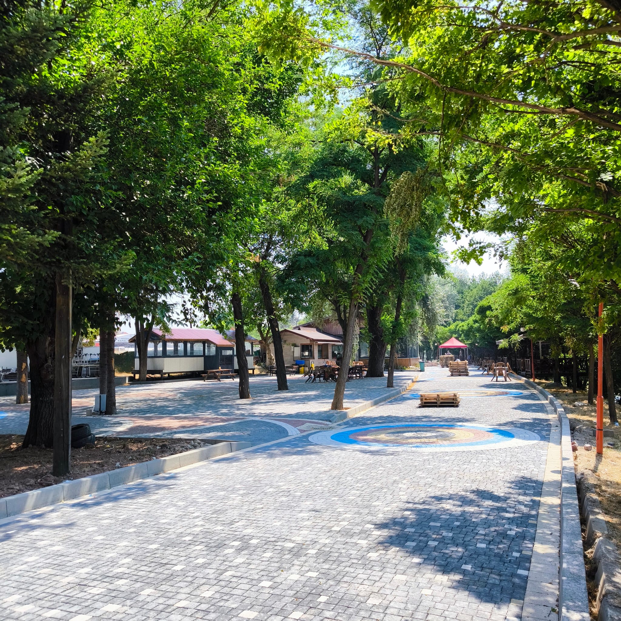 522816208 1199066472261615 3830707851359344751 n