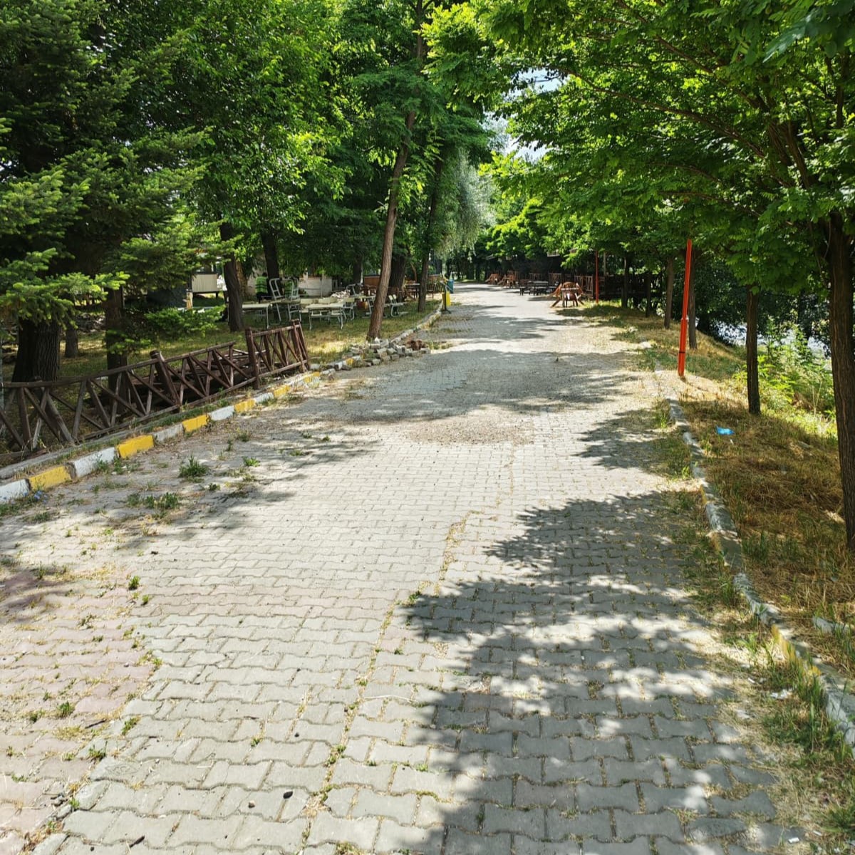 524352270 1199060725595523 5207768399522566341 n