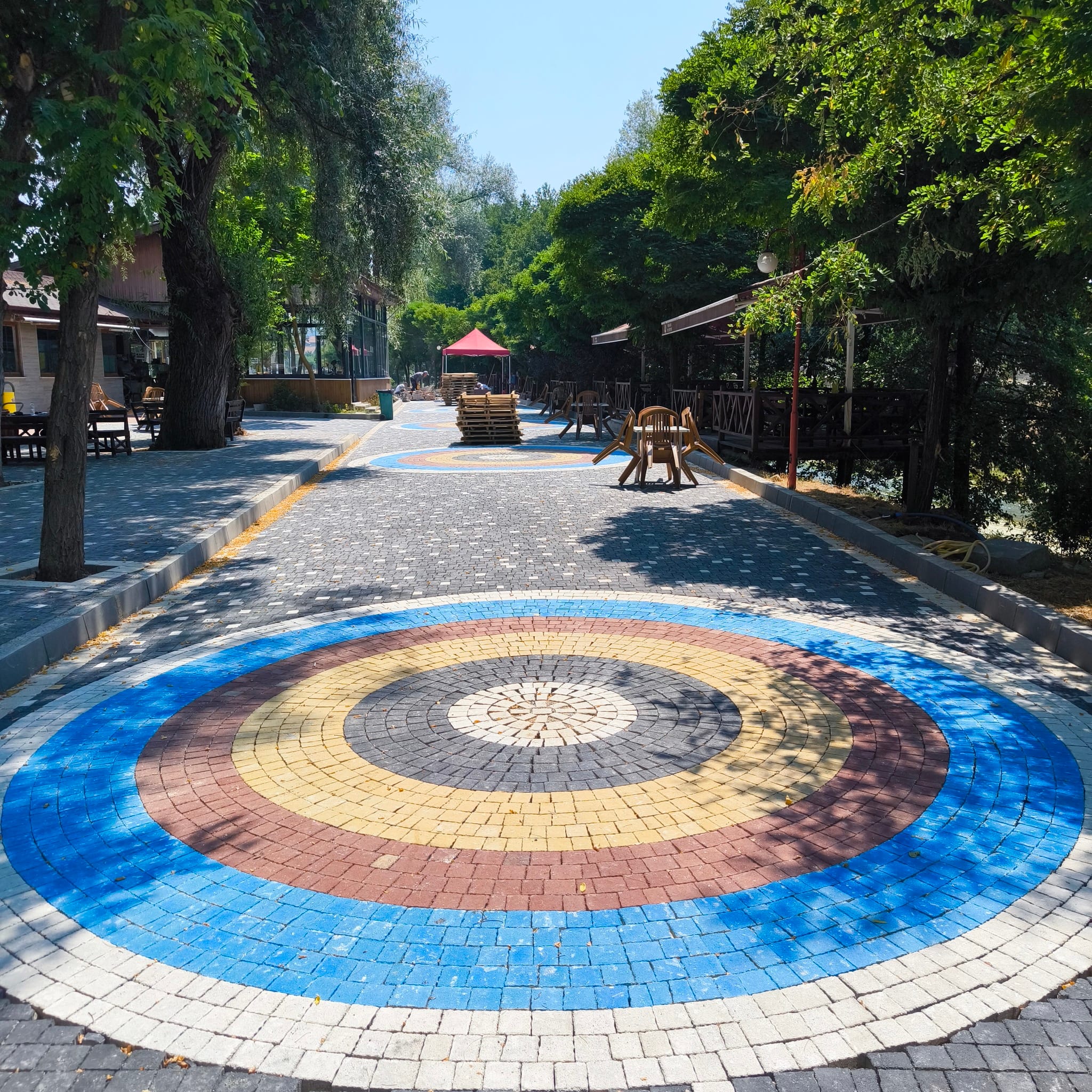 524457044 1199066405594955 107435384054275699 n