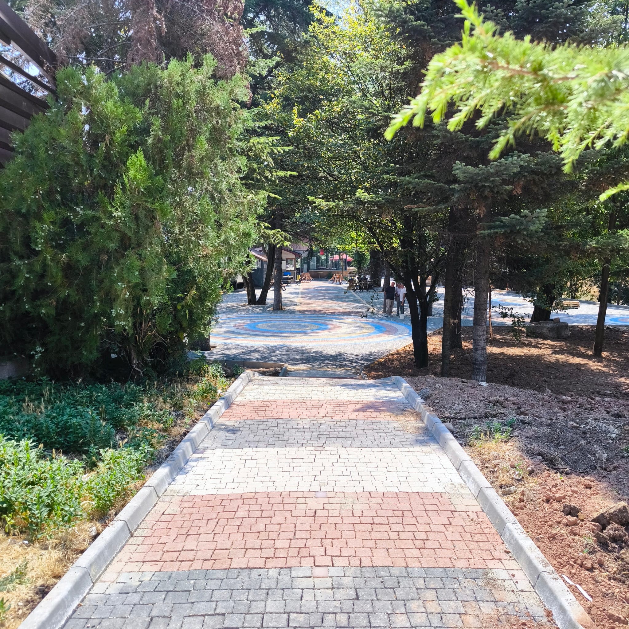 524846884 1199064862261776 5737228137265271421 n