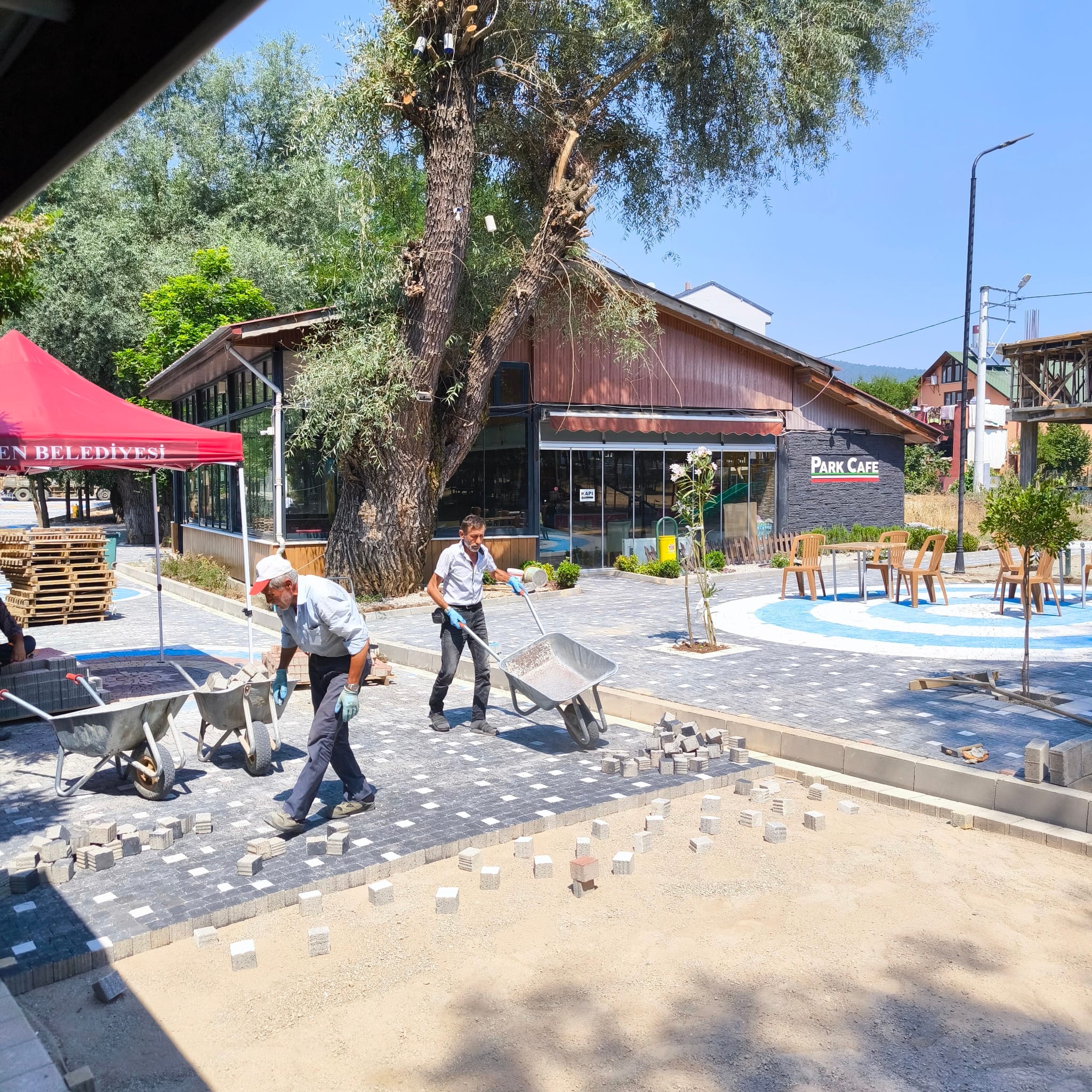 525418886 1199066432261619 6131769531536763690 n