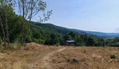 Mengen’de vahşi madencilik endişesi: 135 hektarlık orman alanı ihaleye çıkıyor