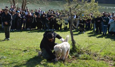 VI. Ulusal Aşçılık Kampı’nda Doğaya Dönüş