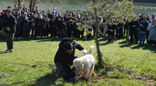 VI. Ulusal Aşçılık Kampı’nda Doğaya Dönüş