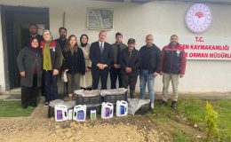Mengen’de  çilek bahçeleri kurulmaya devam ediyor.