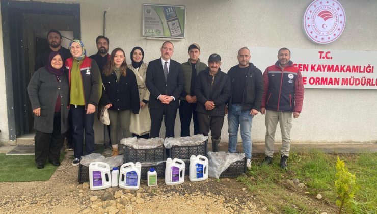Mengen’de  çilek bahçeleri kurulmaya devam ediyor.